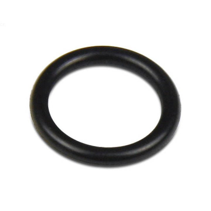 Ersatzteil WS7 (O - Ring 1556) - bluAqua.com